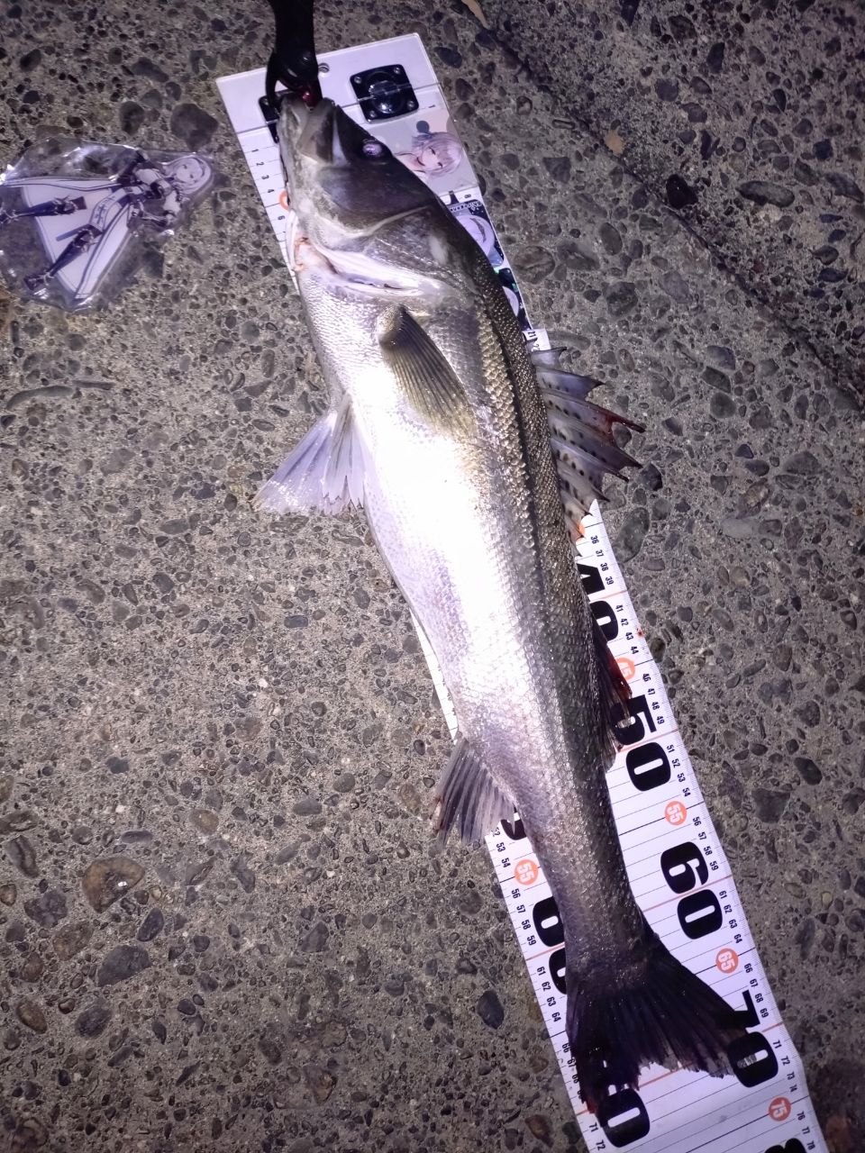 DAIWA 21モアザン ブランジーノ EX AGS 97ML/Mの最安値・インプレ
