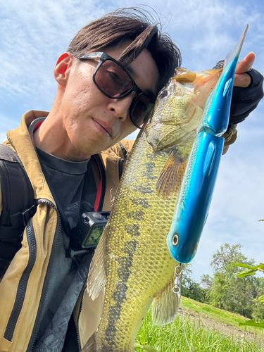 deps newスライドスイマー300 ブルーバックシャイナー - アングラーズ