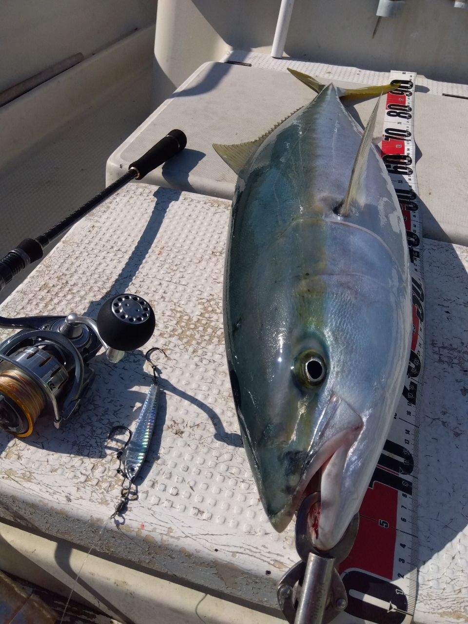 DAIWA 18ブラスト LT LT5000D-CXHの最安値・インプレ・釣果 | 本音の