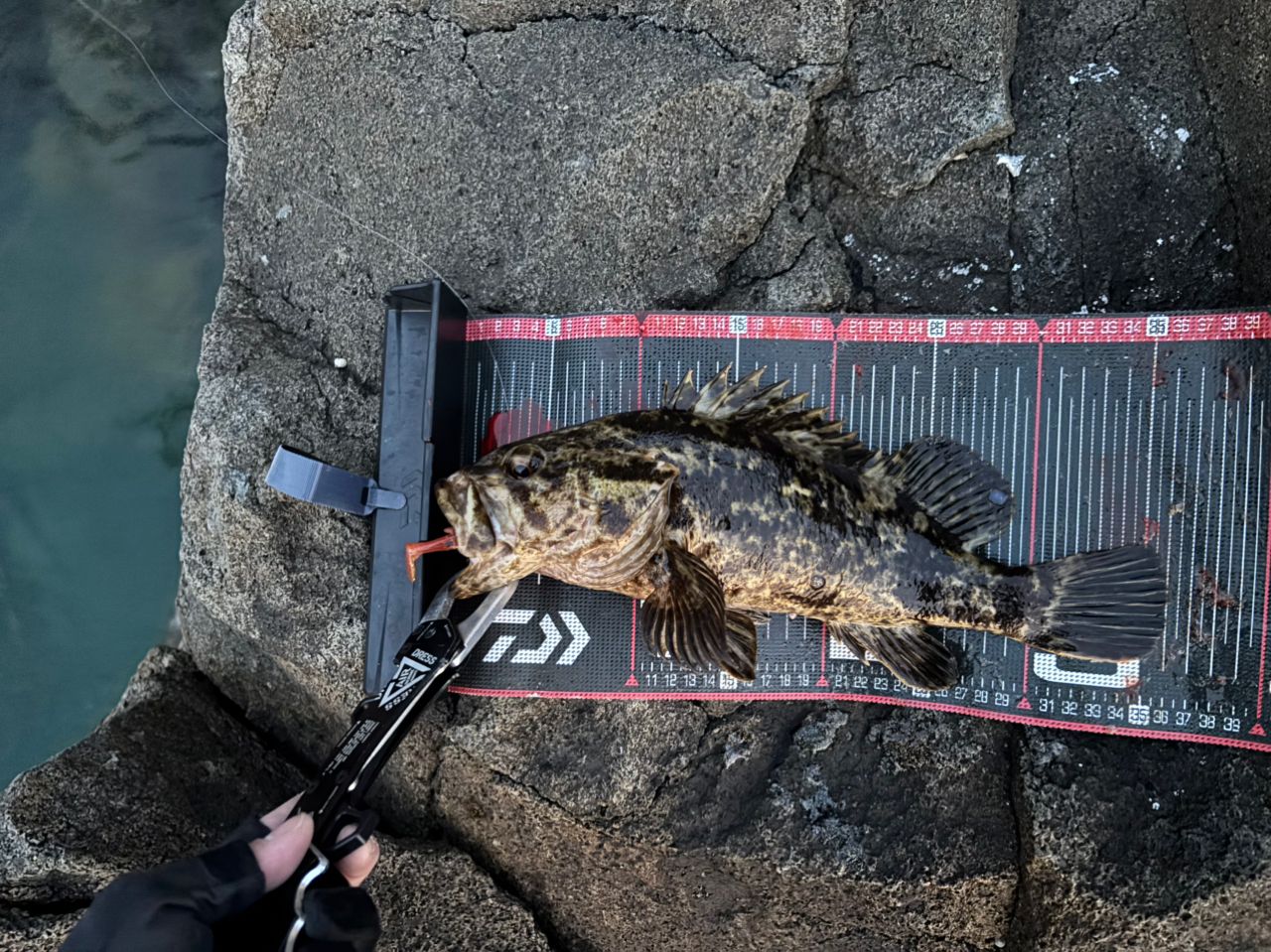 MajorCraft 23ロックライバー 5G RV5-852Mの最安値・インプレ・釣果