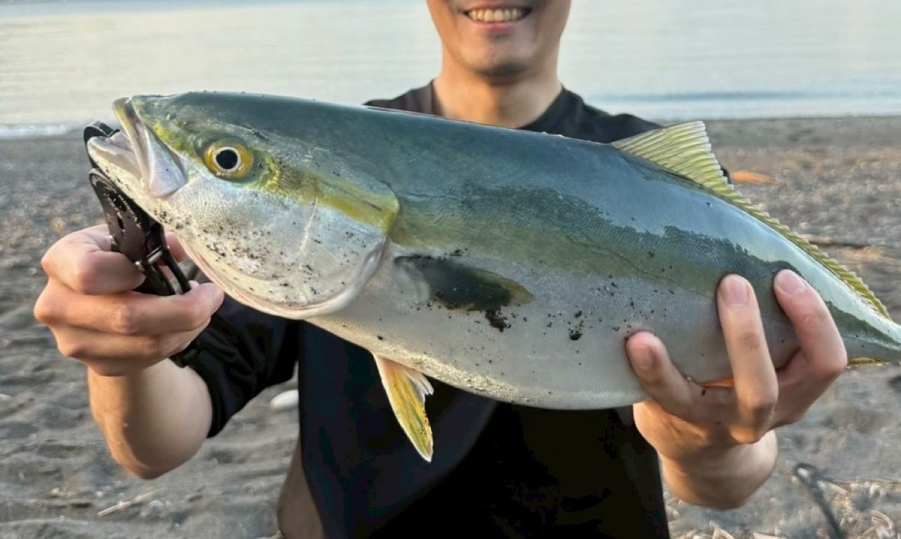 XESTA ランウェイXRの最安値・インプレ・釣果 | 本音の口コミが集まる