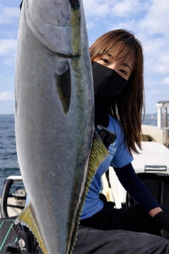 ワラサの釣果
