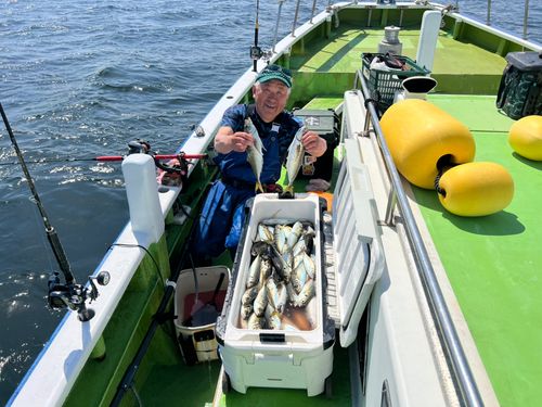 マアジの釣果