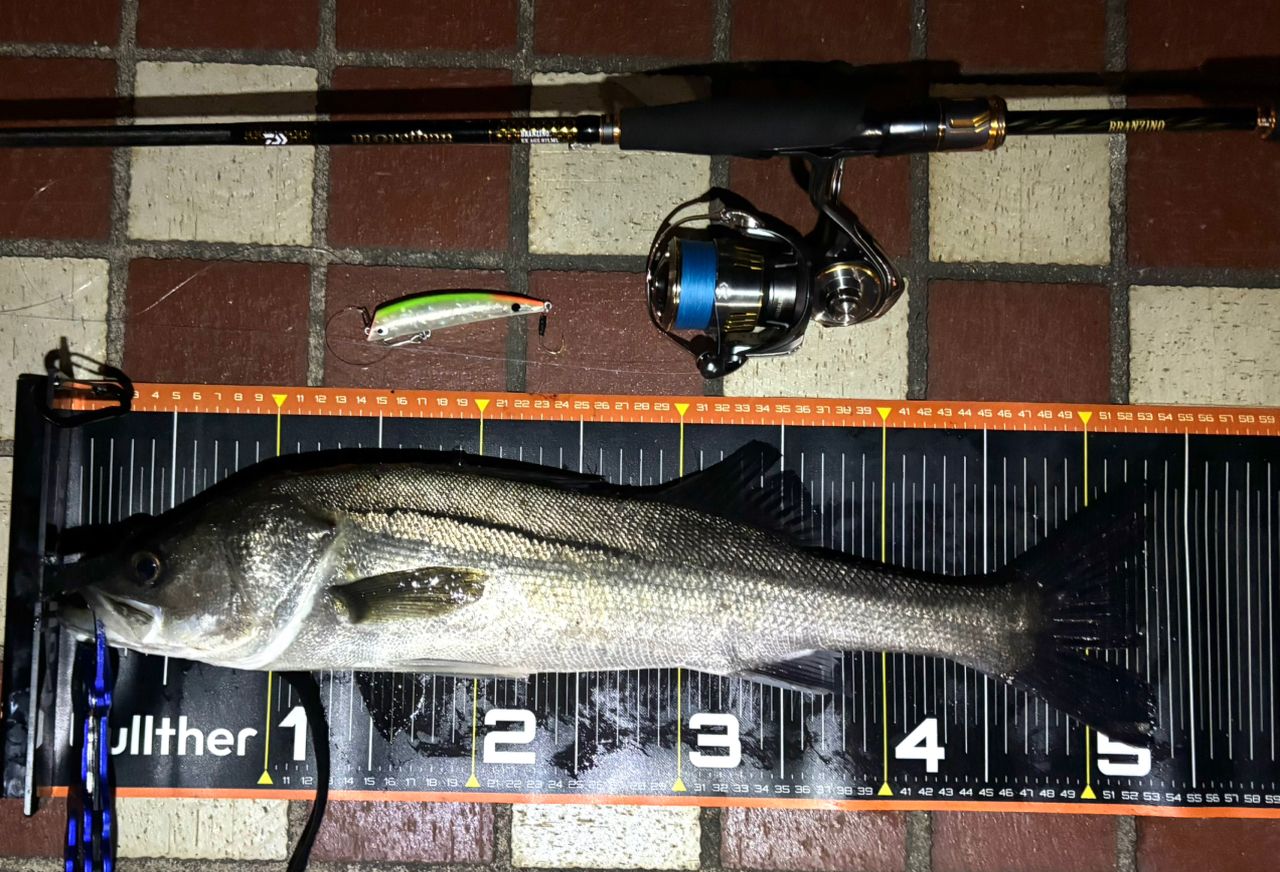 DAIWA 21モアザン ブランジーノ EX AGS 87LMLの最安値・インプレ・釣果