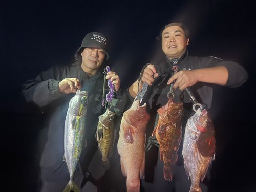 ブダイの釣果