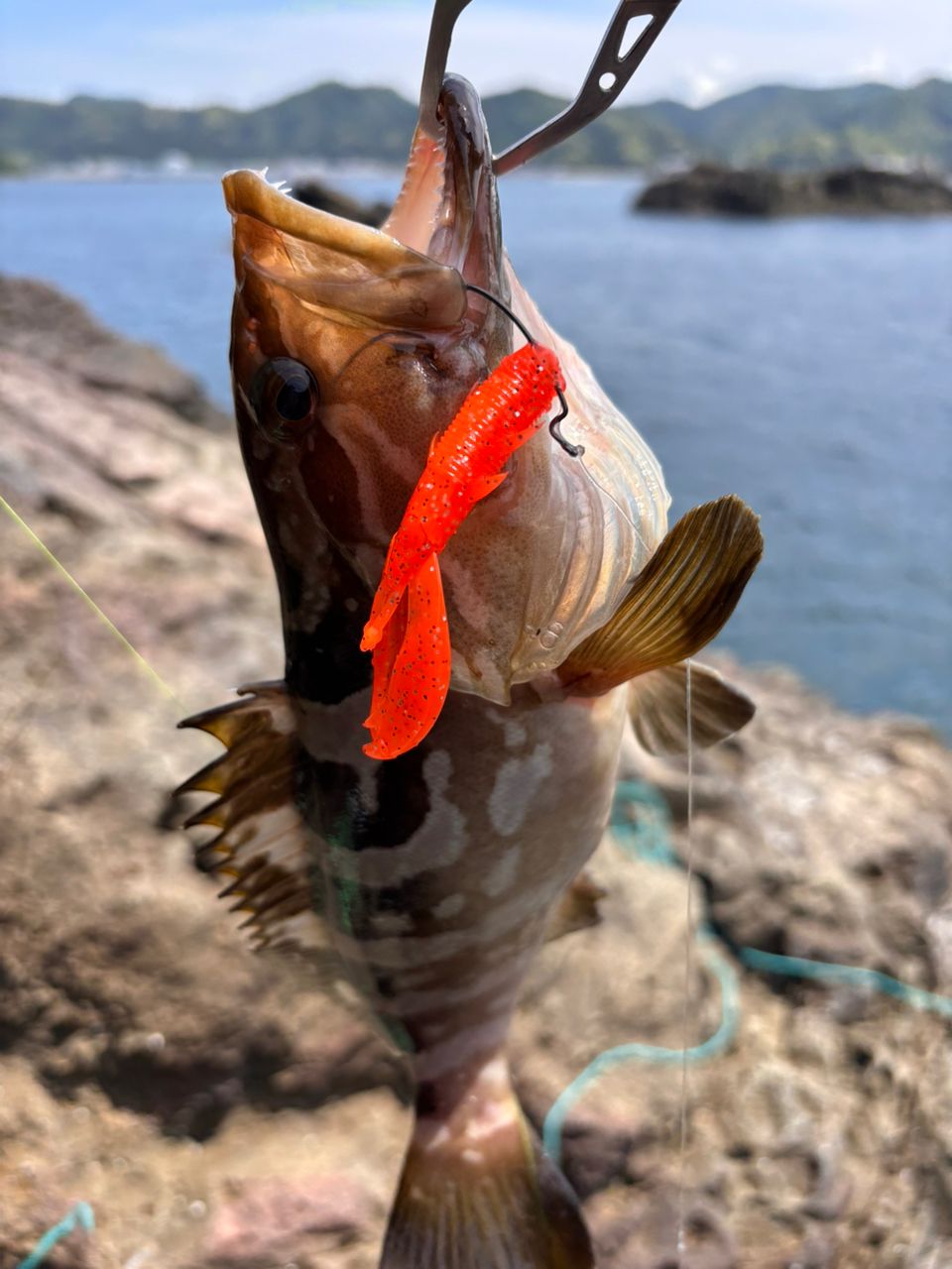 MajorCraft 23ロックライバー 5G RV5-962MHの最安値・インプレ・釣果