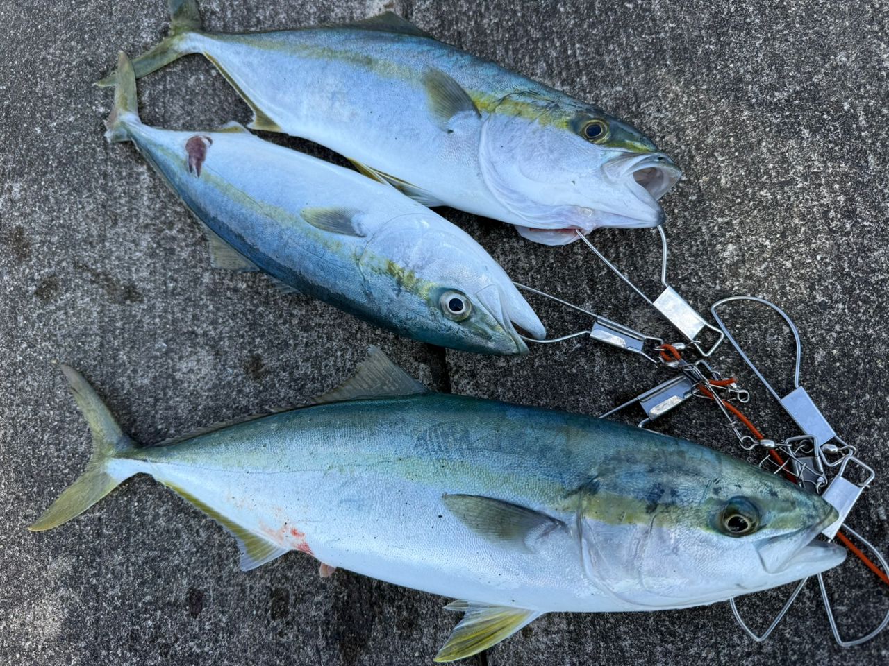 SHIMANO 21コルトスナイパーBB S106MHの最安値・インプレ・釣果 | 本音
