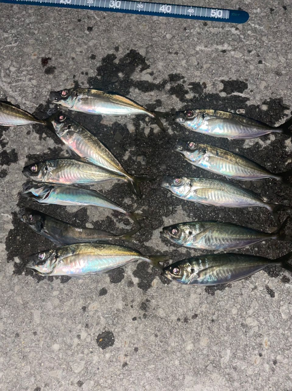 SHIMANO 20ソアレ エクスチューン S510SUL+-Sの最安値・インプレ・釣果