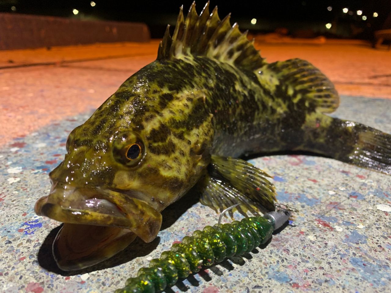 Megabass 20礁楽 SL-82MLSの最安値・インプレ・釣果 | 本音の口コミが
