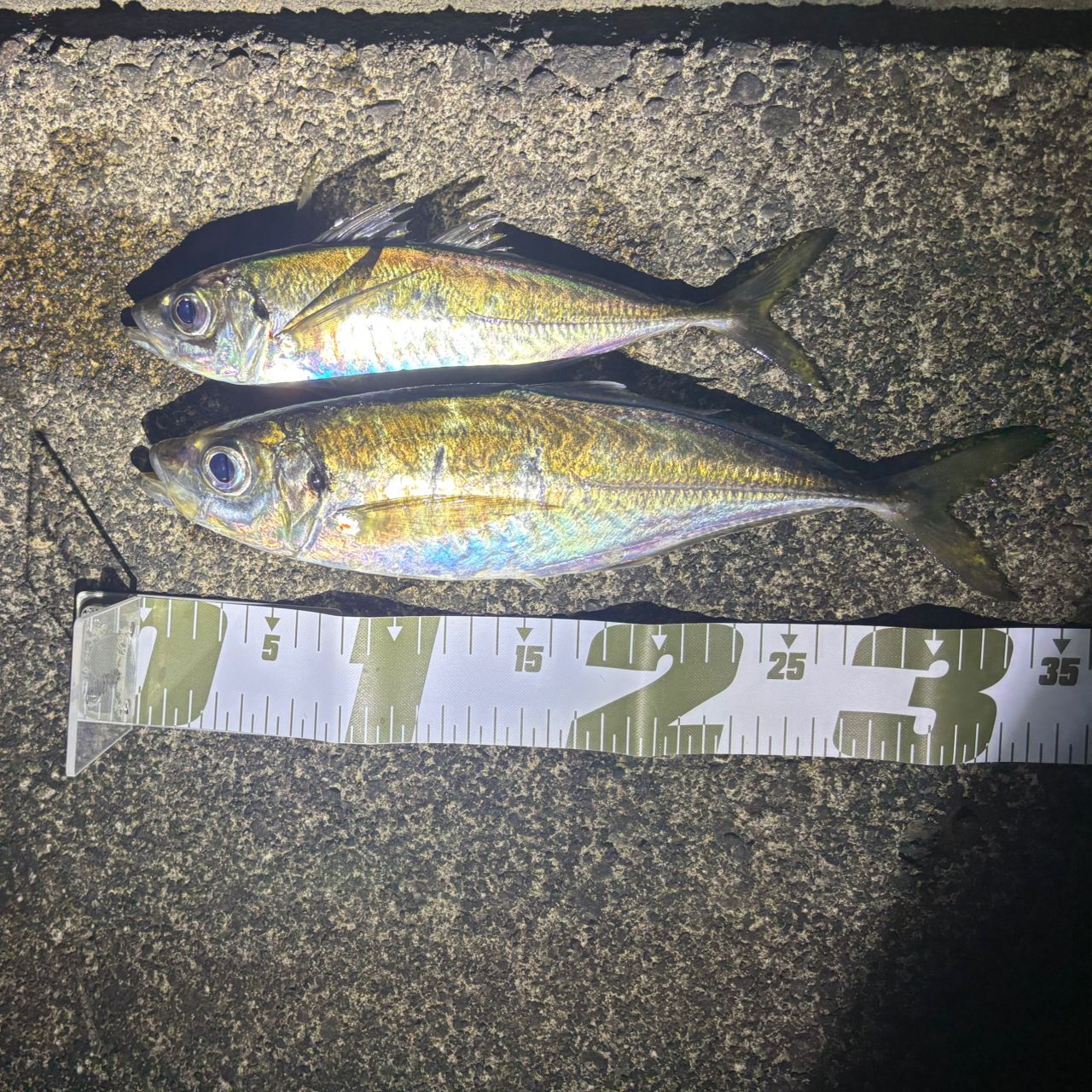 SHIMANO 22ソアレ SS アジング S54SUL-Sの最安値・インプレ・釣果
