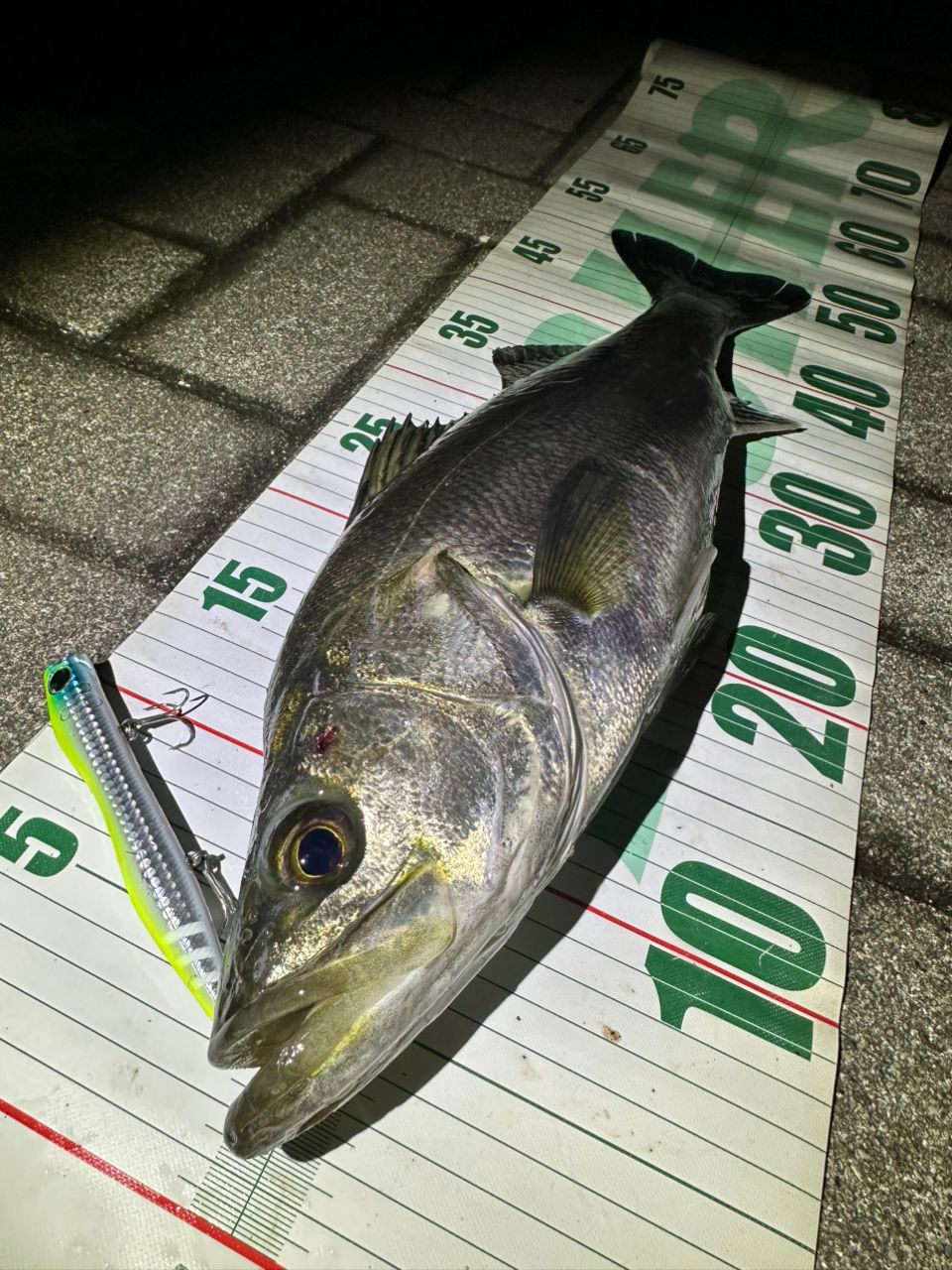 DAIWA 21モアザン ブランジーノ EX AGS 94LMLの最安値・インプレ・釣果