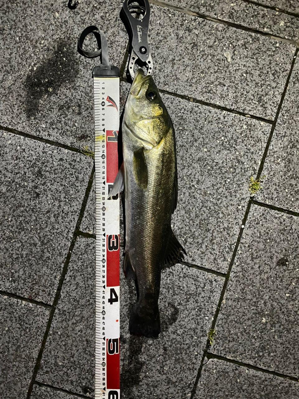 SHIMANO 23ディアルーナ S90Lの最安値・インプレ・釣果 | 本音の口コミ
