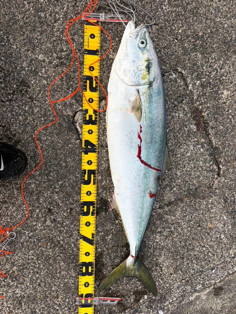 DAIWA 23ドラッガー ブレイクスルー 100HH-3の最安値・インプレ・釣果