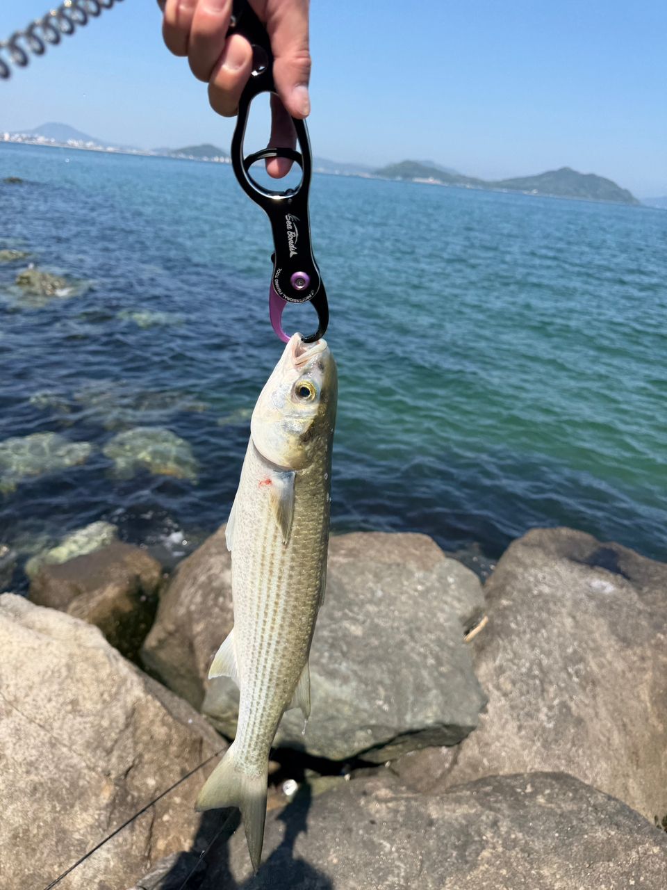 SHIMANO 23ディアルーナ B96MLの最安値・インプレ・釣果 | 本音の