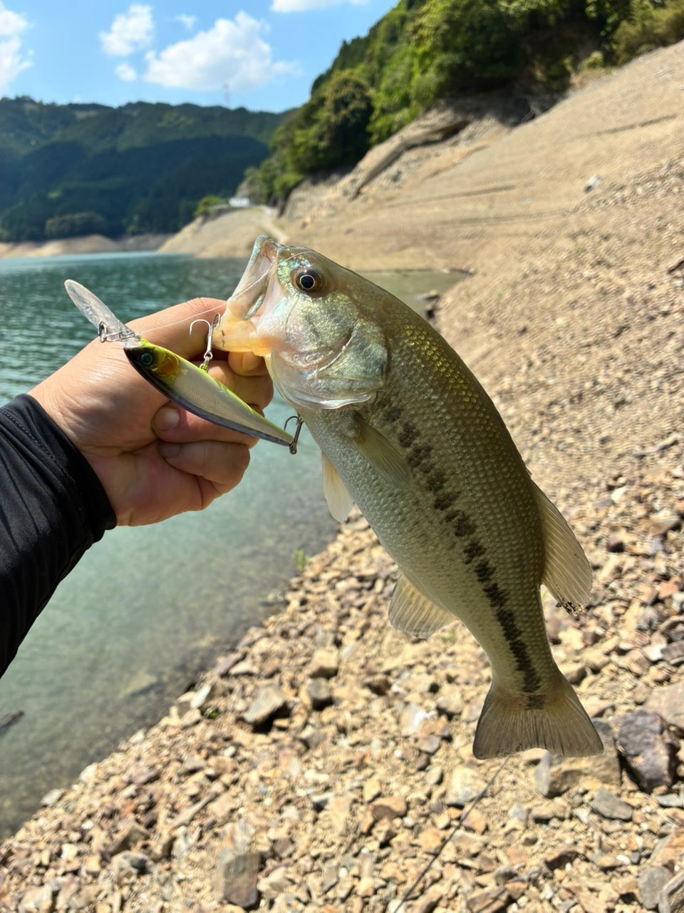 ブラックバスの釣果写真