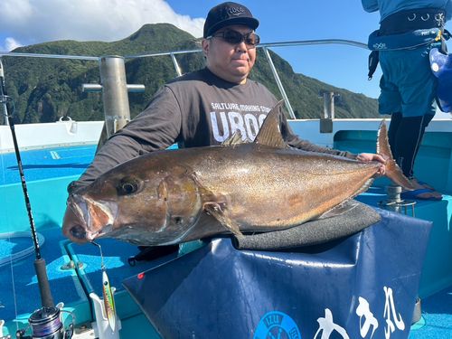 ヒレナガカンパチの釣果