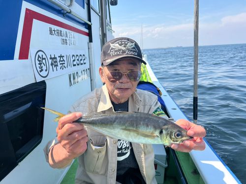 マアジの釣果
