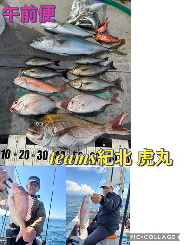 シロアマダイの釣果
