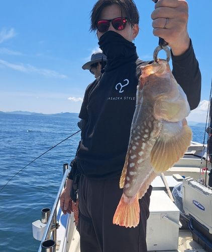 ミシマオコゼの釣果