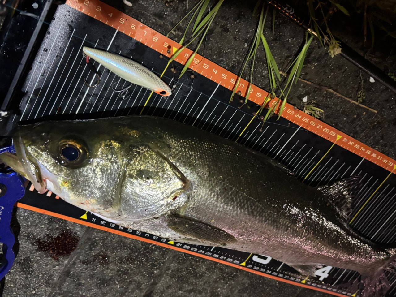 DAIWA 21モアザン ブランジーノ EX AGS 87LMLの最安値・インプレ・釣果