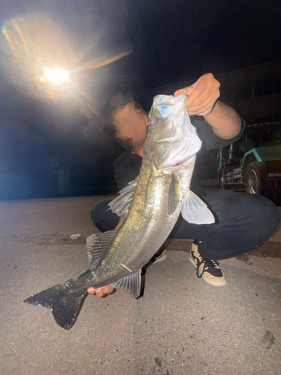 シーバスの釣果写真