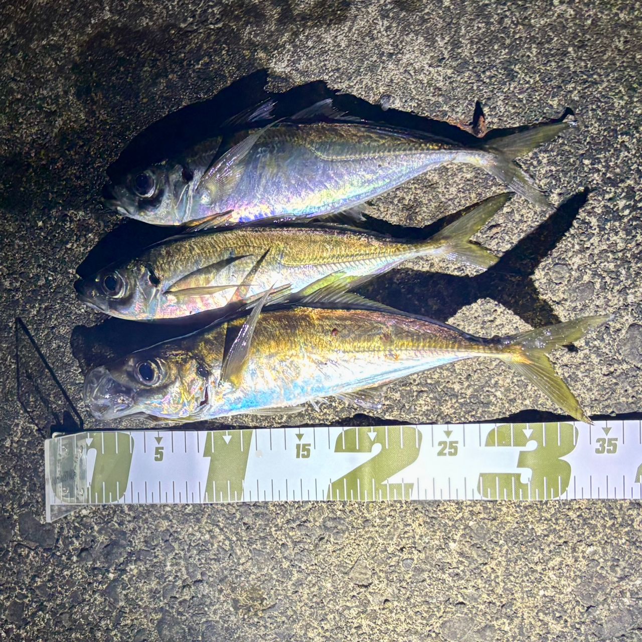 SHIMANO 22ソアレ SS アジング S54SUL-Sの最安値・インプレ・釣果