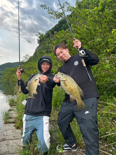 スモールマウスバスの釣果