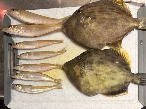 釣果