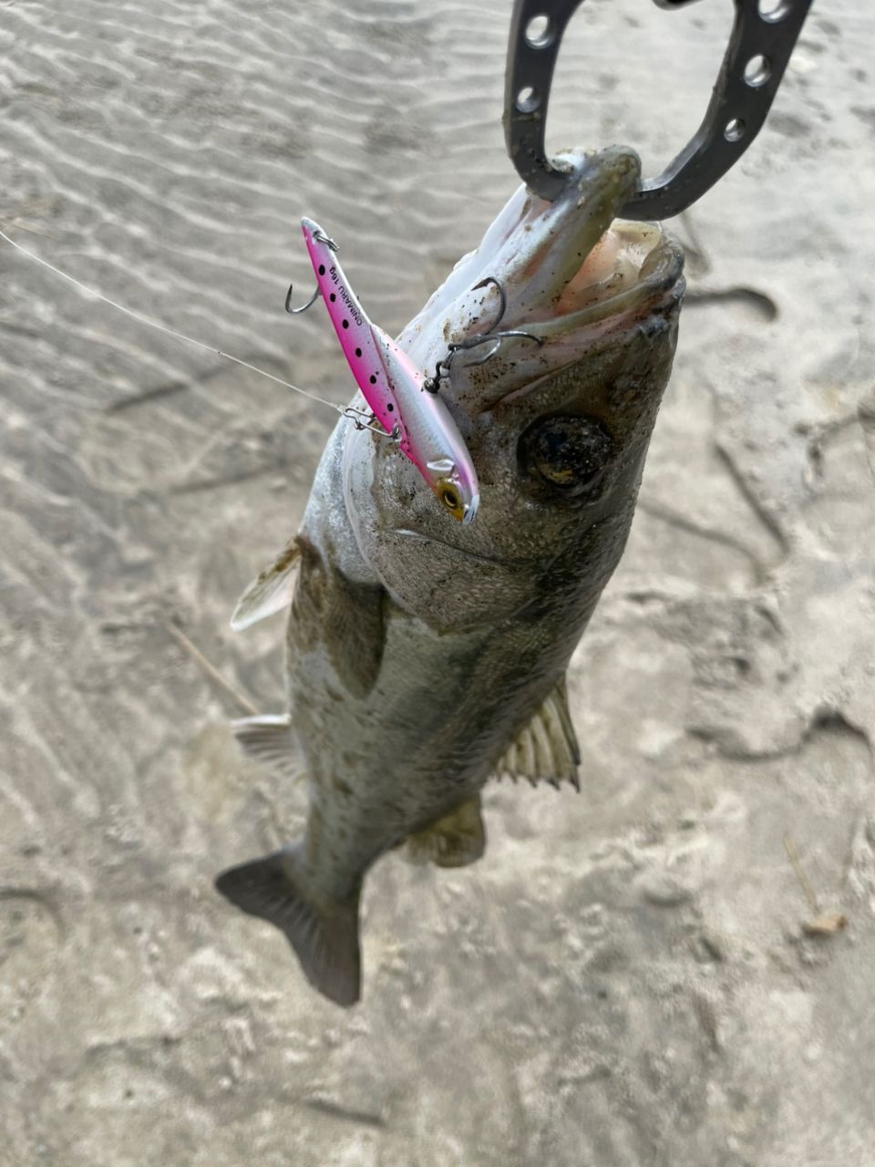 SHIMANO 19フリーゲーム XT S96Mの最安値・インプレ・釣果 | 本音の