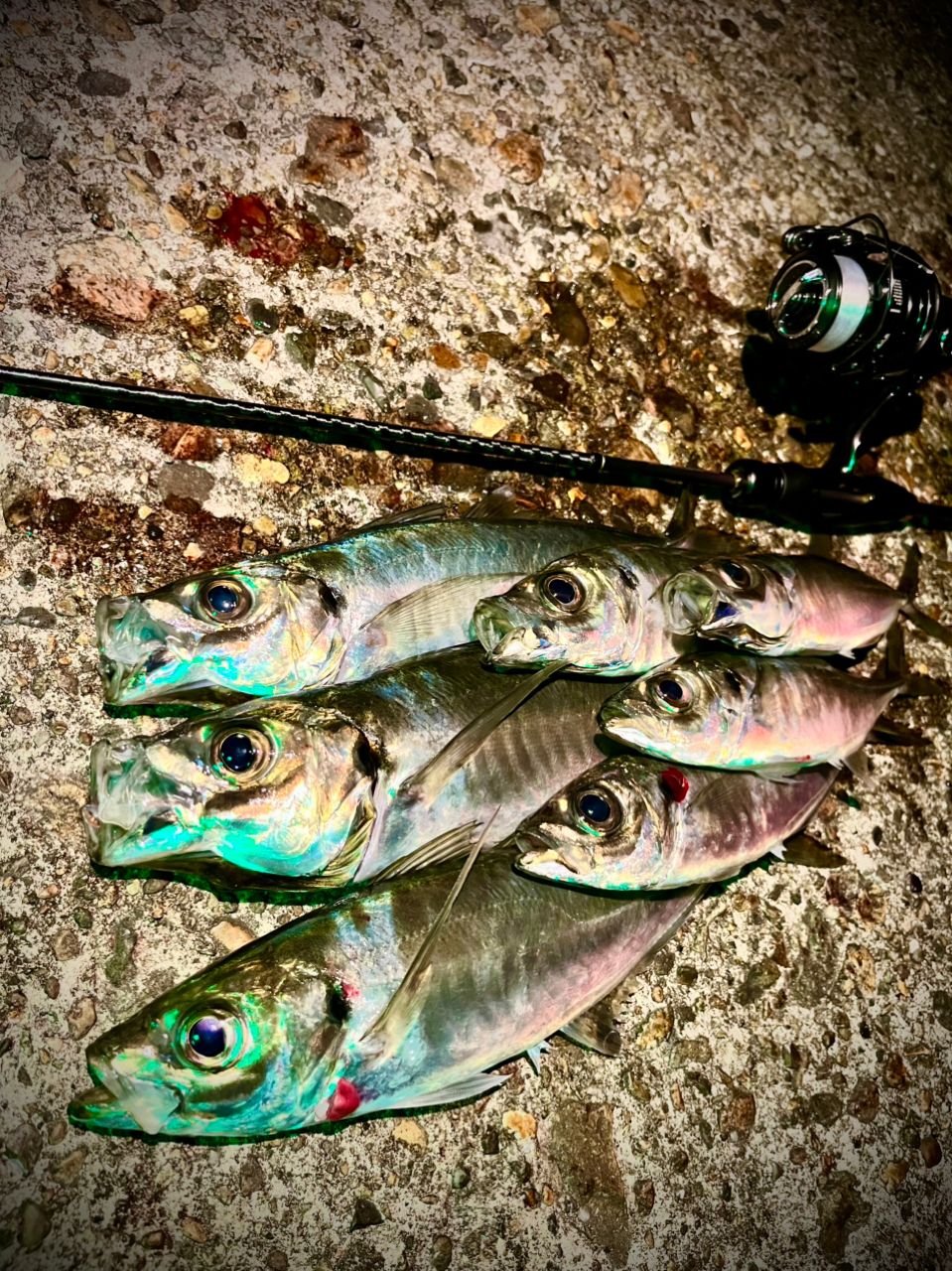 SHIMANO 22ソアレ SS アジング S58UL-Sの最安値・インプレ・釣果