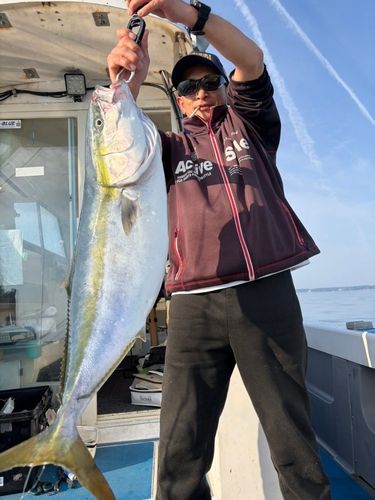 ブリの釣果