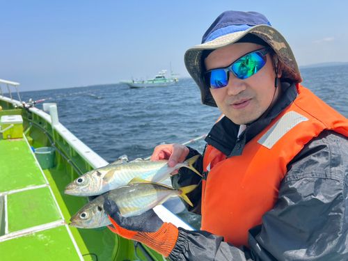 マアジの釣果