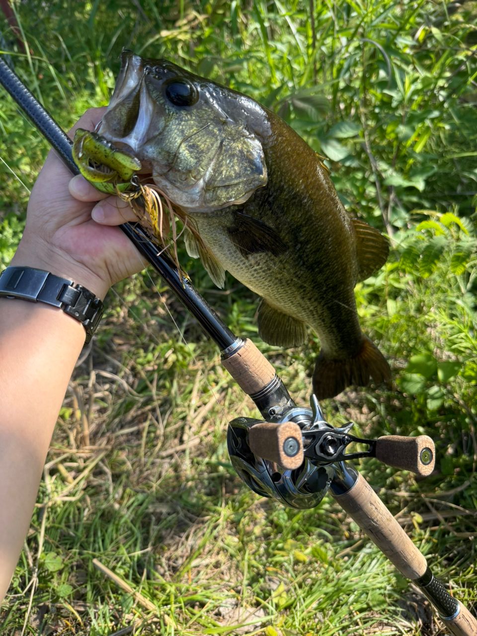 DAIWA 19ブラックレーベル SG 671MHFB-FRの最安値・インプレ・釣果 DAIWA 19ブラックレーベル SG 671MHFB-FRの最安値・インプレ・釣果