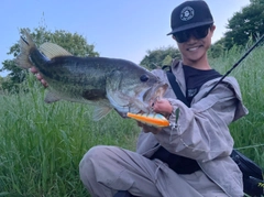 ラージマウスバスの釣果