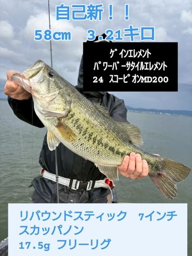 ブラックバスの釣果