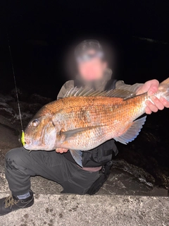 タイの釣果