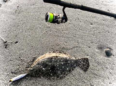 ソゲの釣果