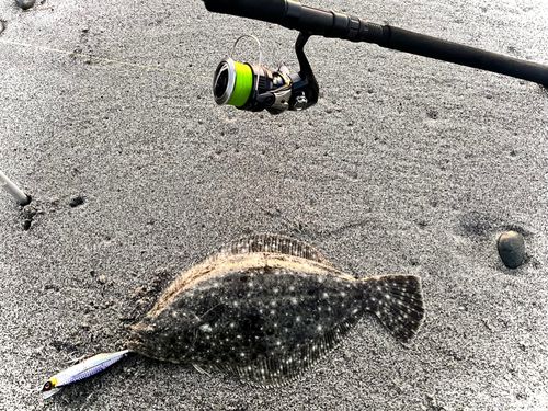 ソゲの釣果