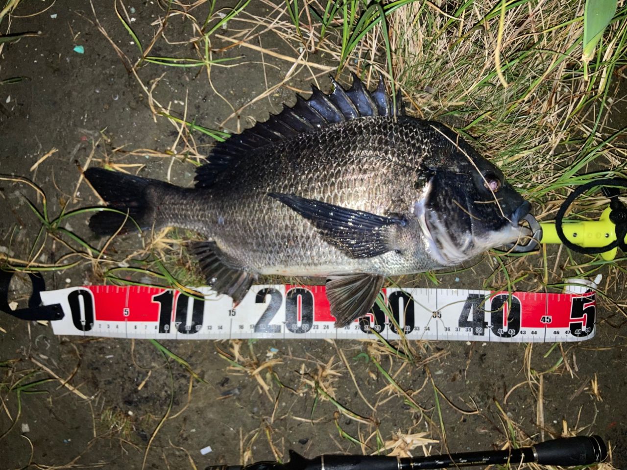 AbuGarcia クロスフィールド XRFC-704M-MBの最安値・インプレ・釣果