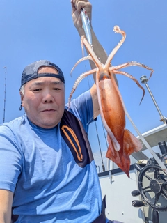 カギイカの釣果