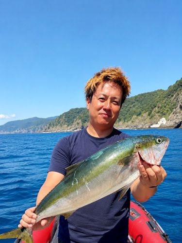 ワラサの釣果