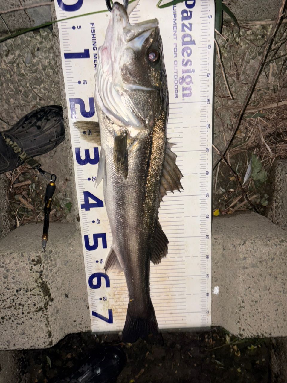 DAIWA 22イグジスト PC LT3000-XHの最安値・インプレ・釣果 | 本音の