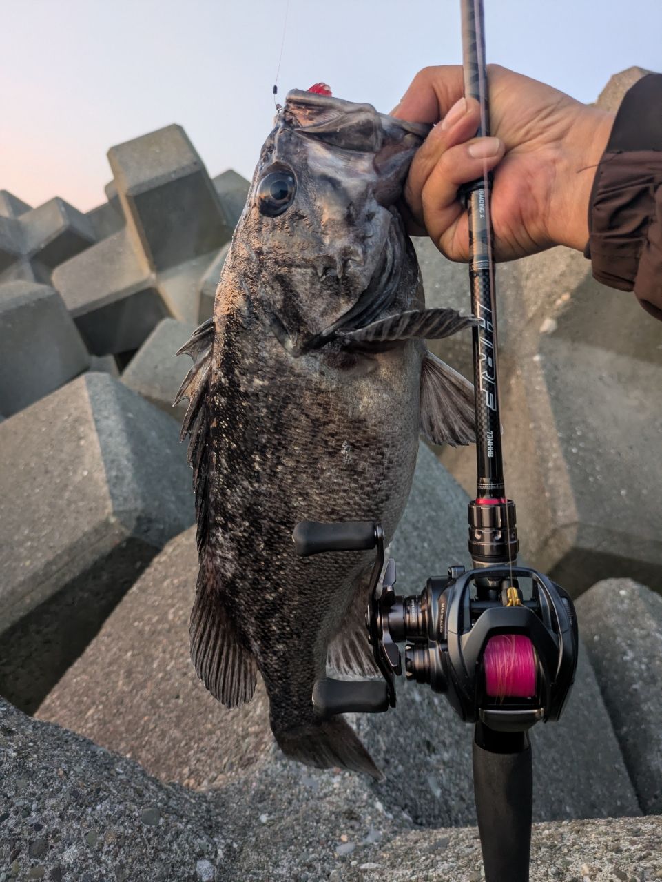HRFハードロックフィッシュ 73MHHB ダイワ DAIWA 16HRF® (ハードロックフィッシュ) 73MHHBの最安値・インプレ