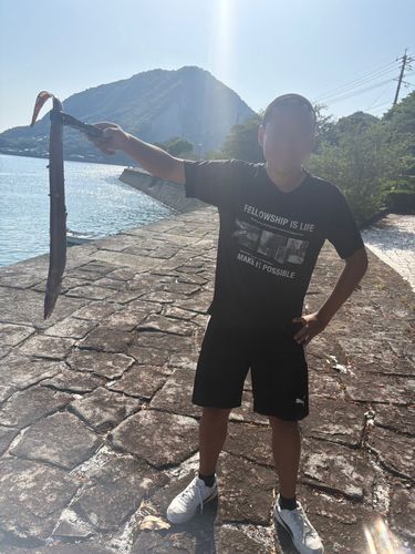 ハモの釣果