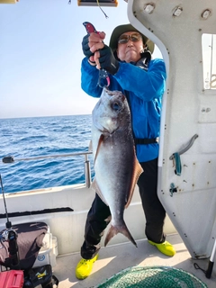チダイの釣果