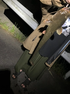 ナマズの釣果