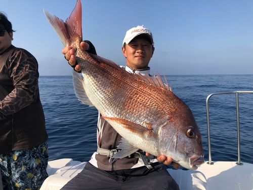 マダイの釣果