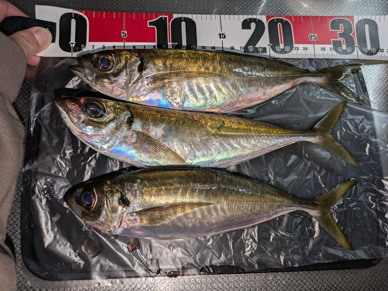 SHIMANO 22ソアレ XR C2000SSPGの最安値・インプレ・釣果 | 本音の
