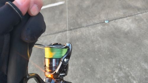 ソイの釣果