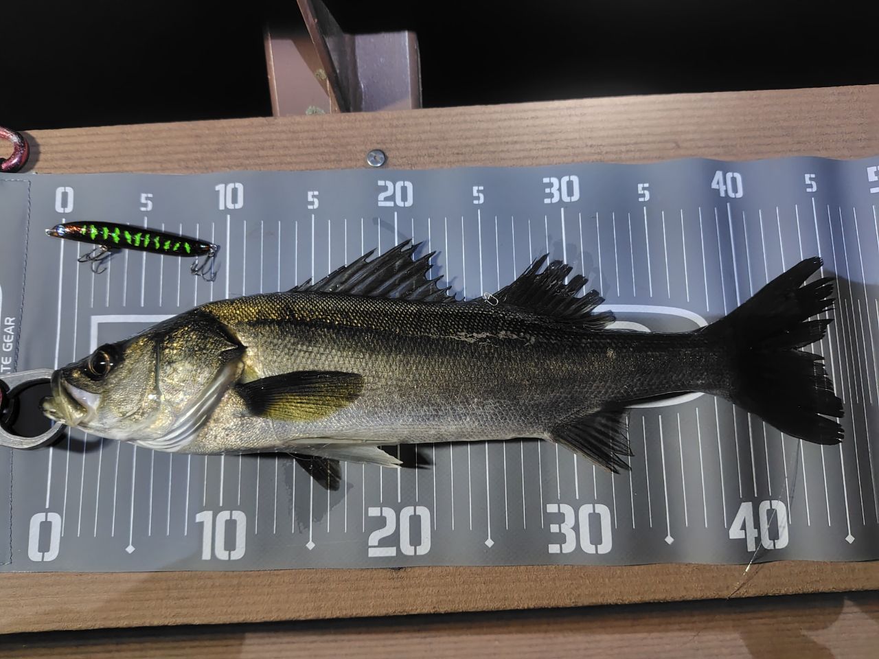 DAIWA 15モアザン モバイル 87MLS-5の最安値・インプレ・釣果 | 本音の